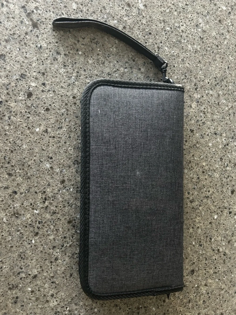 Nintendo Gray Travel Case with Red Logo Patch